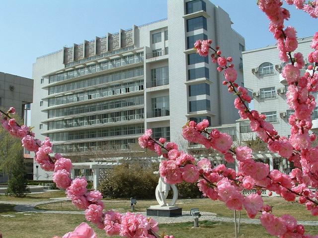 大阴茎插入阴道视频